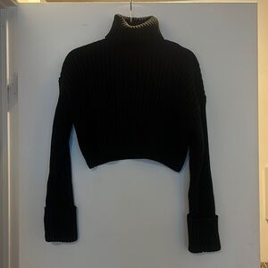 Zara Cropped Turtleneck